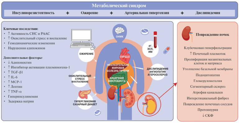 Изображение статьи