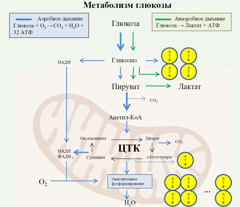 Изображение статьи