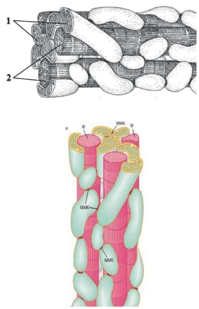 Изображение статьи