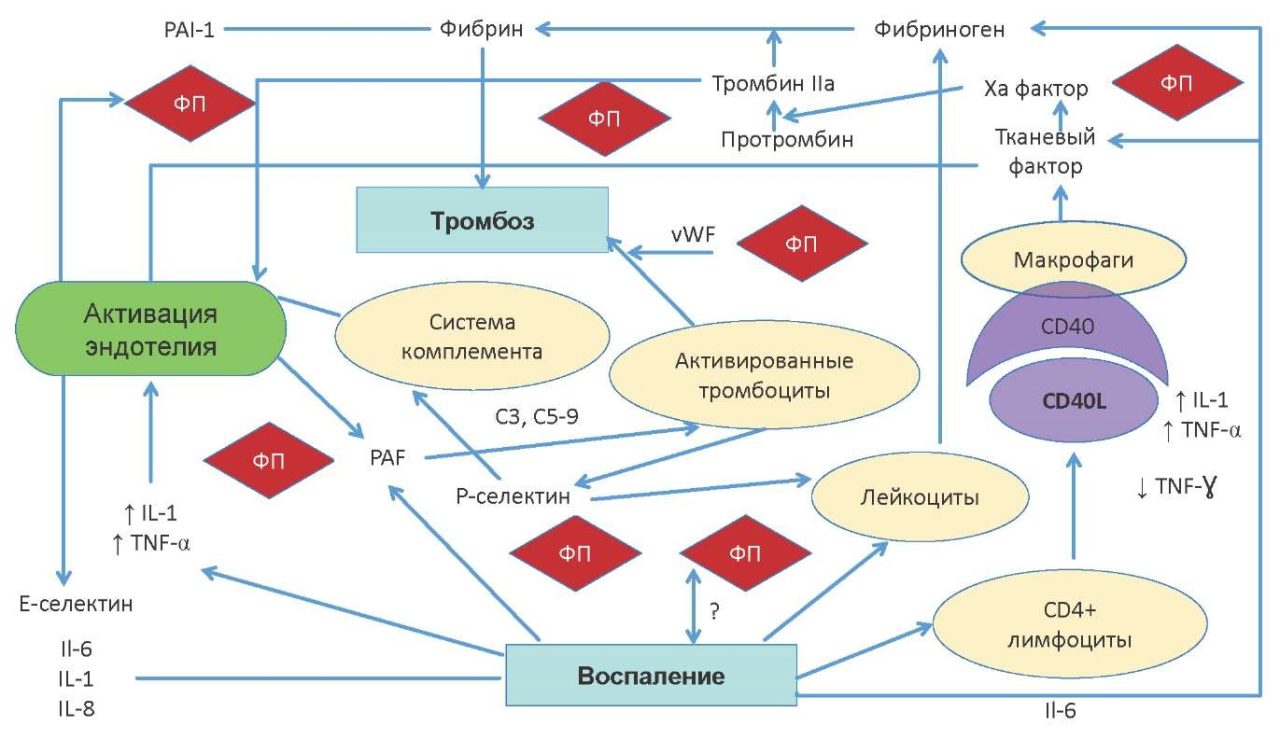Изображение статьи