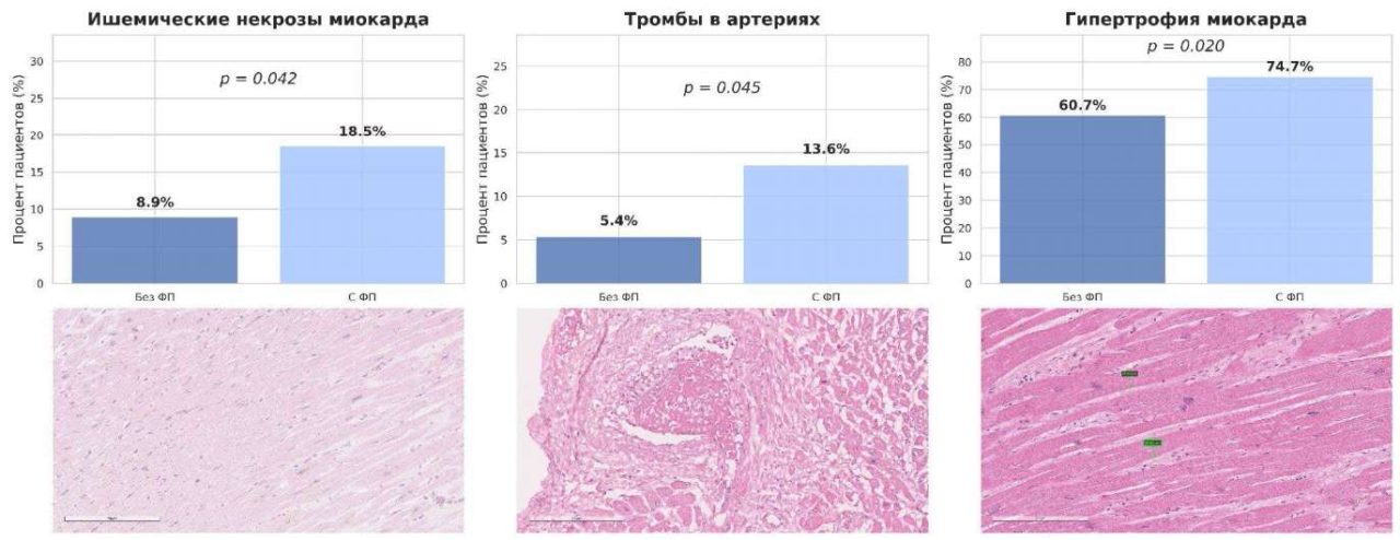 Изображение статьи