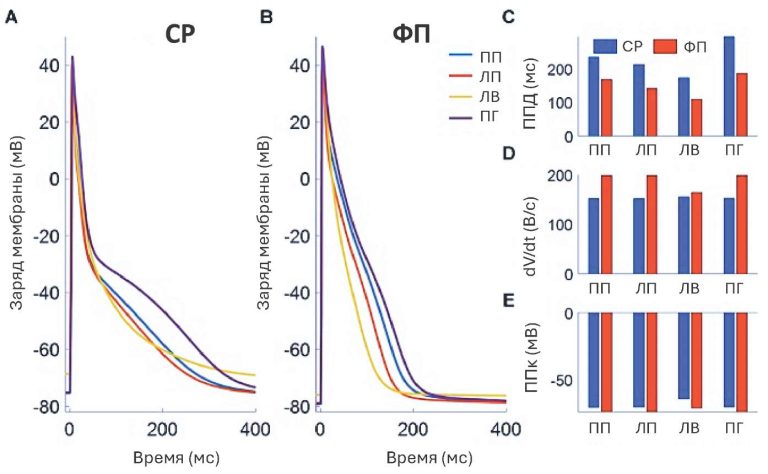 Изображение статьи