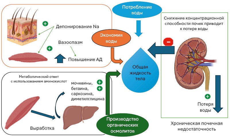 Изображение статьи
